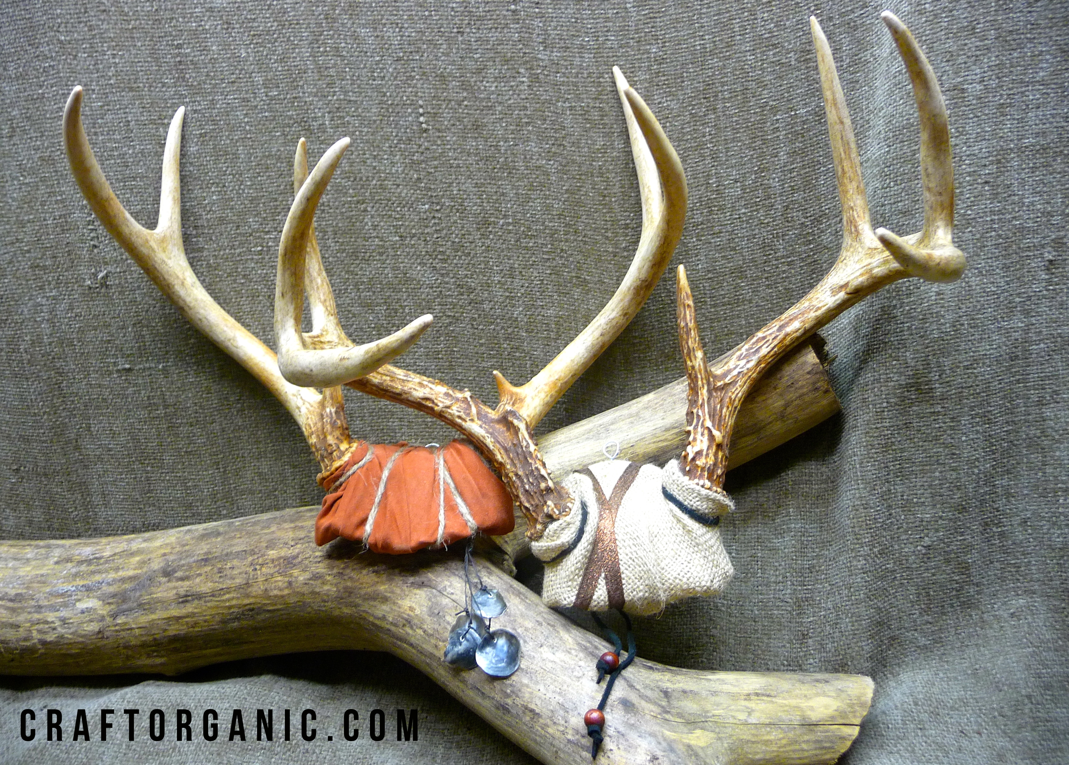 Decorative Deer Antler Mount - Craft Organic