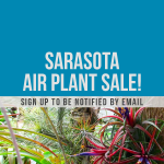 Sale010101