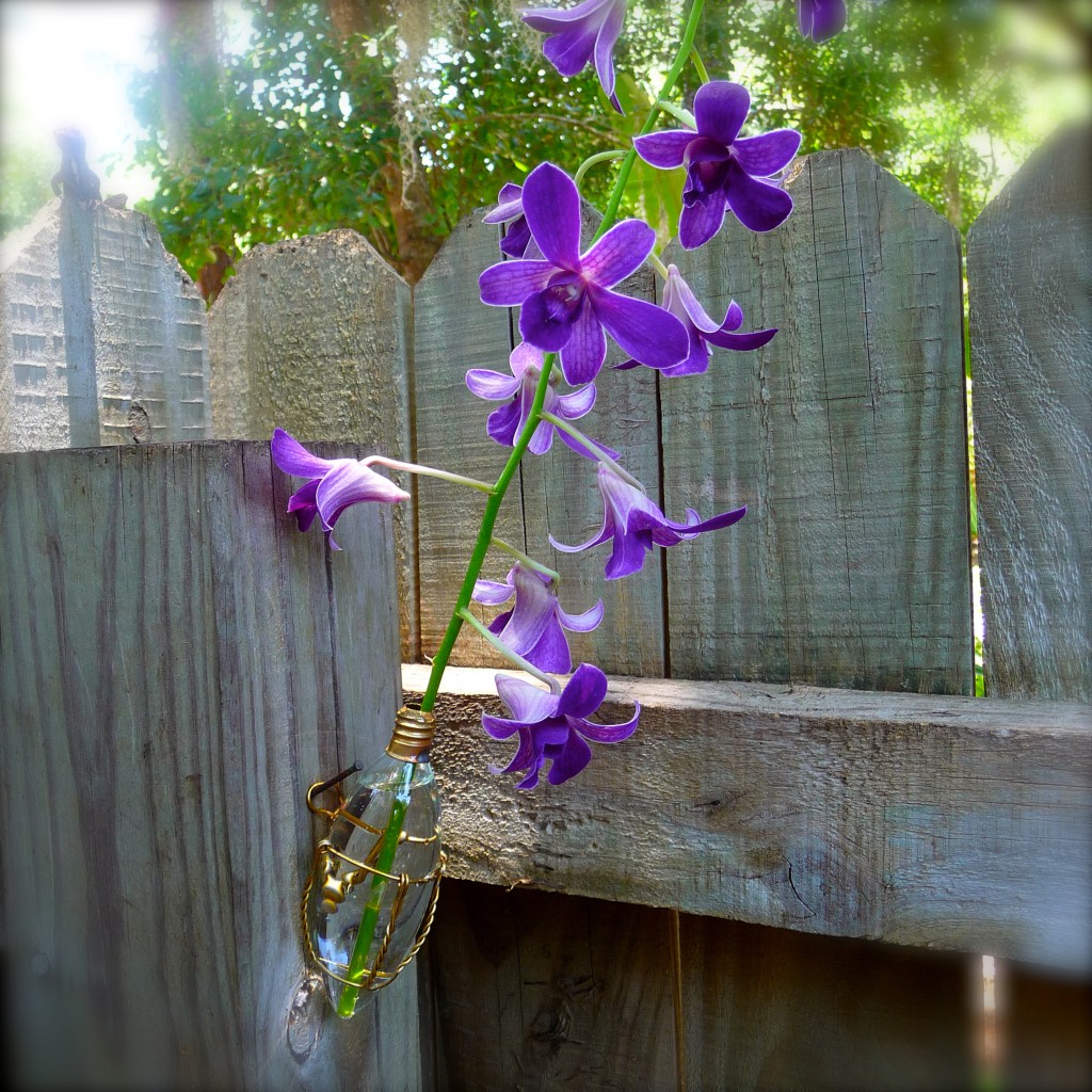 Orchid Vase