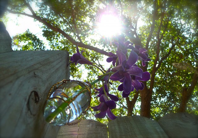 Chandelier Light Bulb Vase