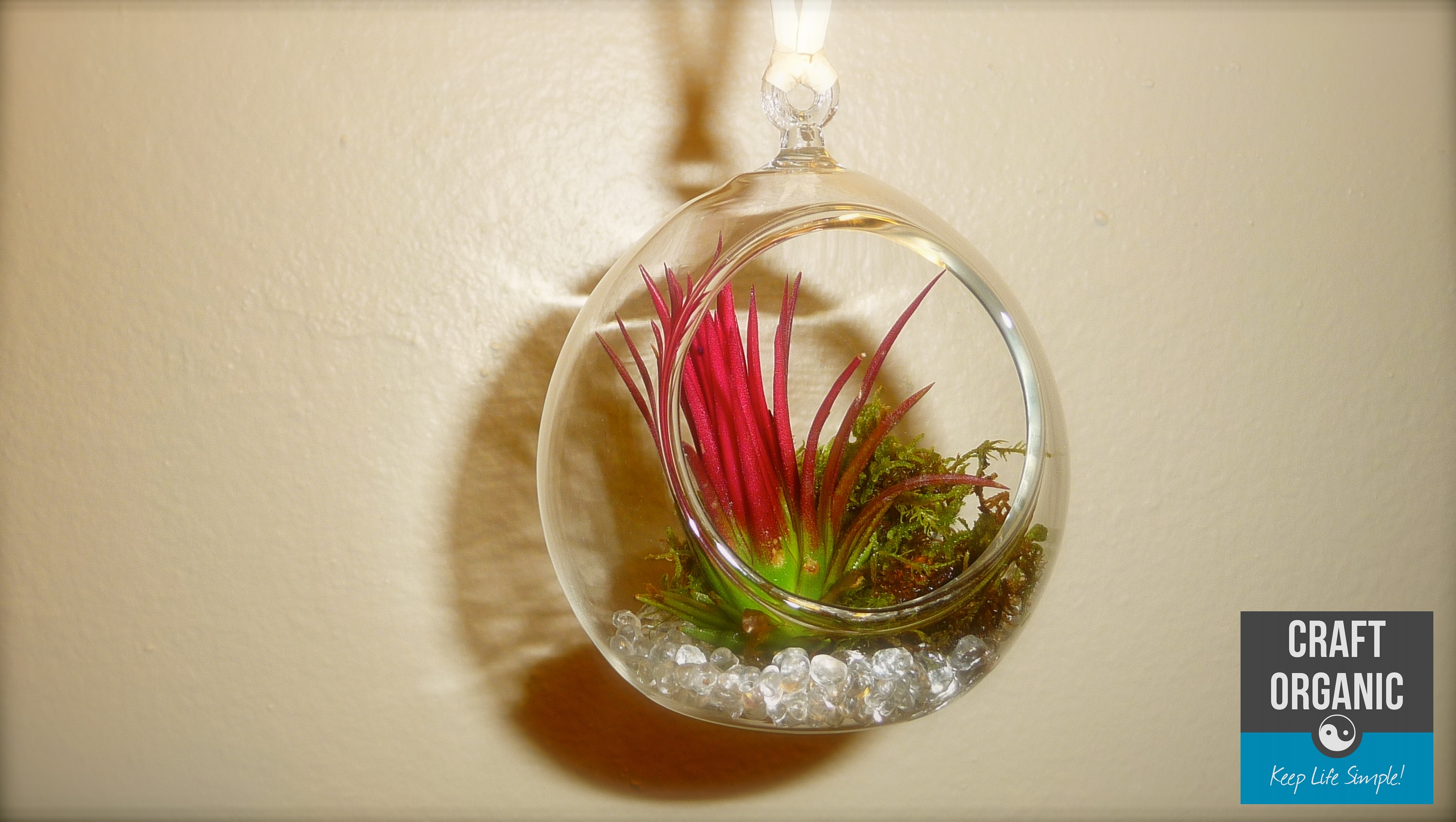 Crafting with Nature: Easy Moss Vase - A Crafty Mix
