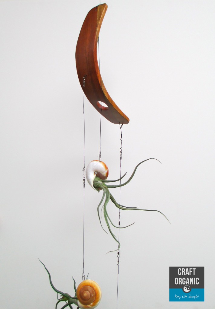 Nautilus Tillandsia Mobile