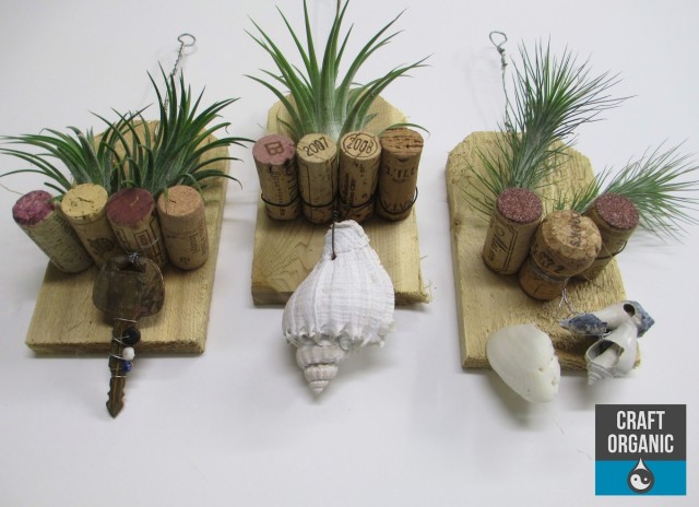 tillandsia and cork plaque 03