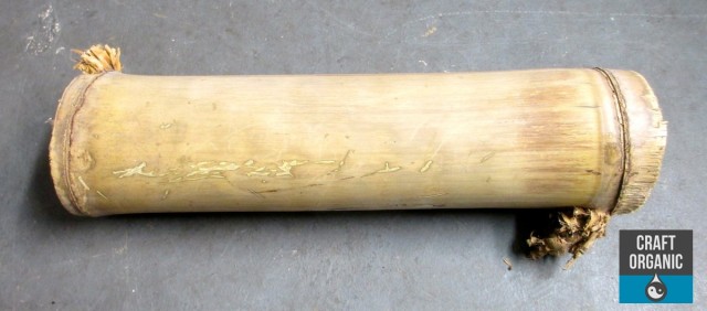 Bamboo01