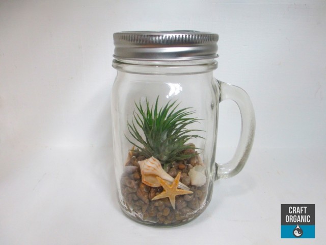 Mason Jar Terrarium Mug 01